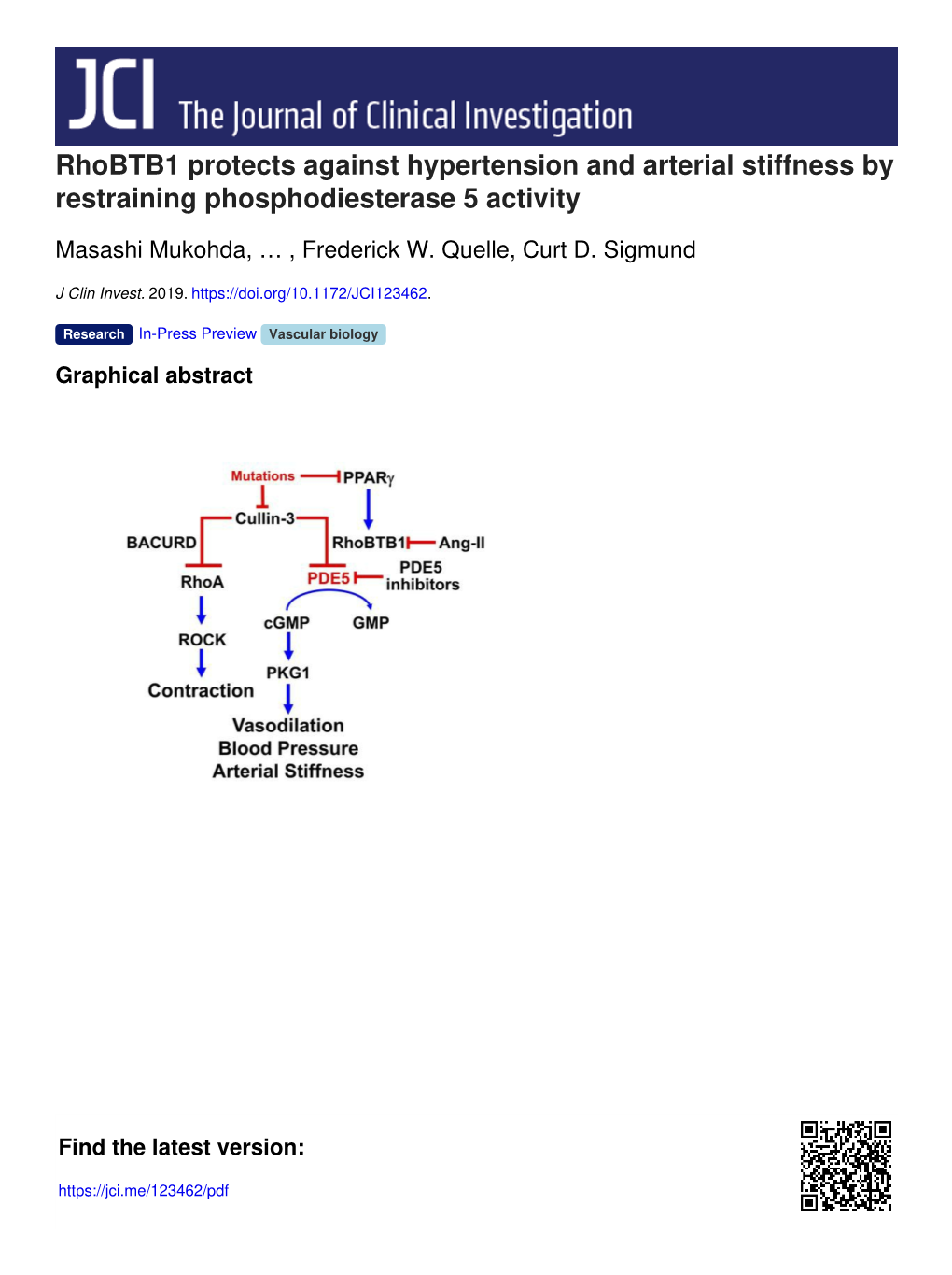 Rhobtb1 Protects Against Hypertension and Arterial Stiffness by Restraining Phosphodiesterase 5 Activity