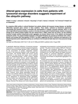 Altered Gene Expression in Cells from Patients with Lysosomal Storage Disorders Suggests Impairment of the Ubiquitin Pathway