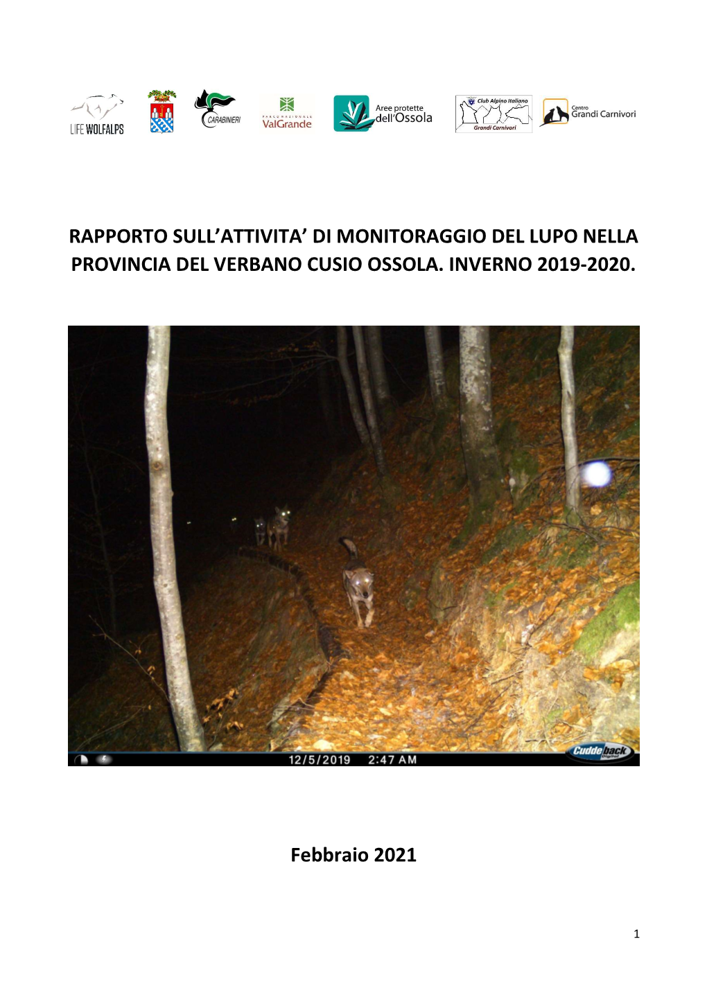 Rapporto Sull'attività Di Monitoraggio Del Lupo Nella Provincia Del