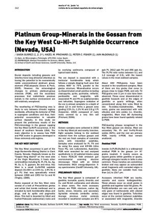 Platinum Group-Minerals in the Gossan from the Key West Cu-Ni-Pt Sulphide Occurrence