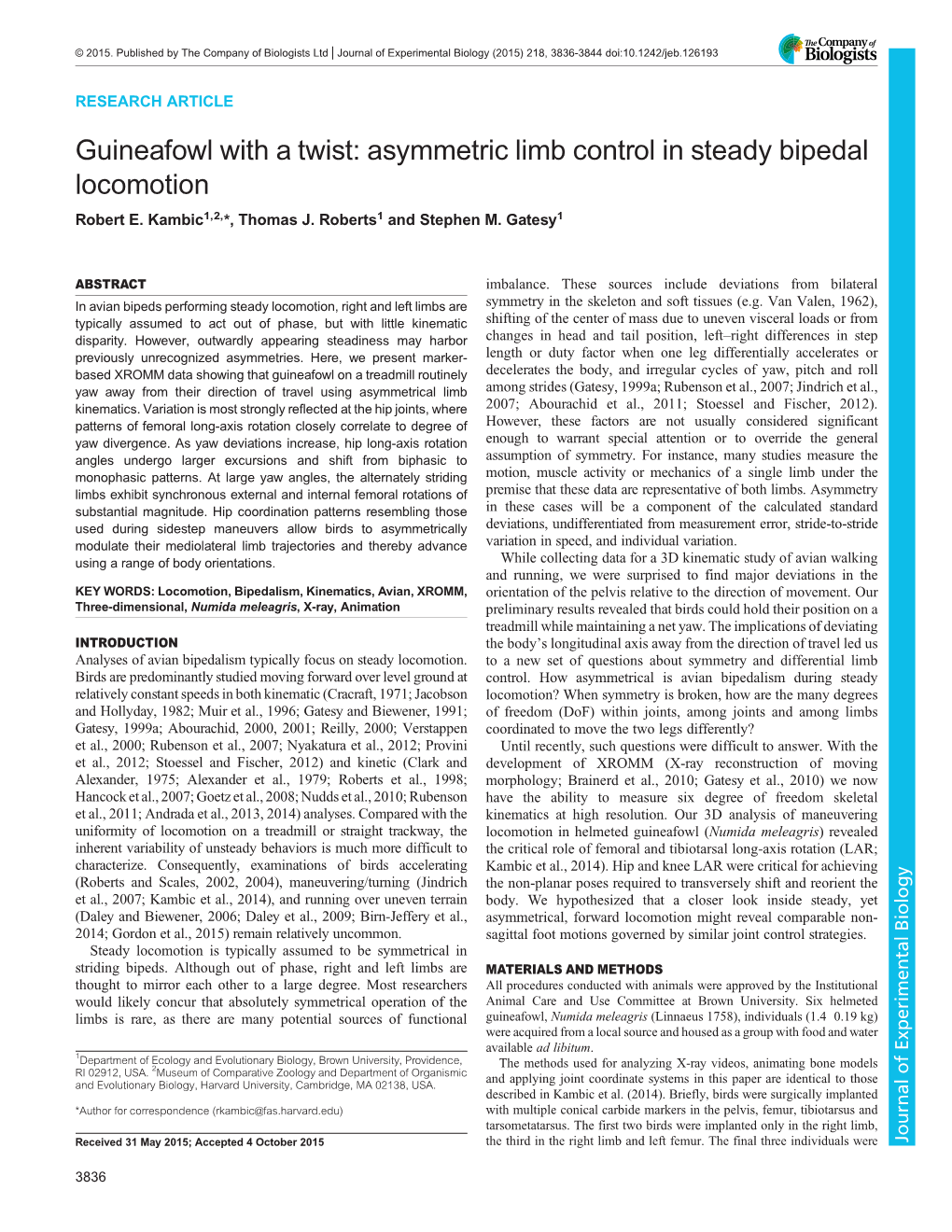 Asymmetric Limb Control in Steady Bipedal Locomotion Robert E