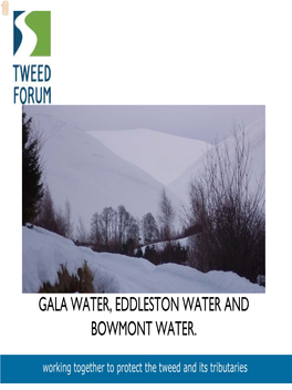 GALA WATER, EDDLESTON WATER and BOWMONT WATER. Hugh Chalmers, Collaborative Action Coordinator, Tweed Forum Integrated Catchment Management