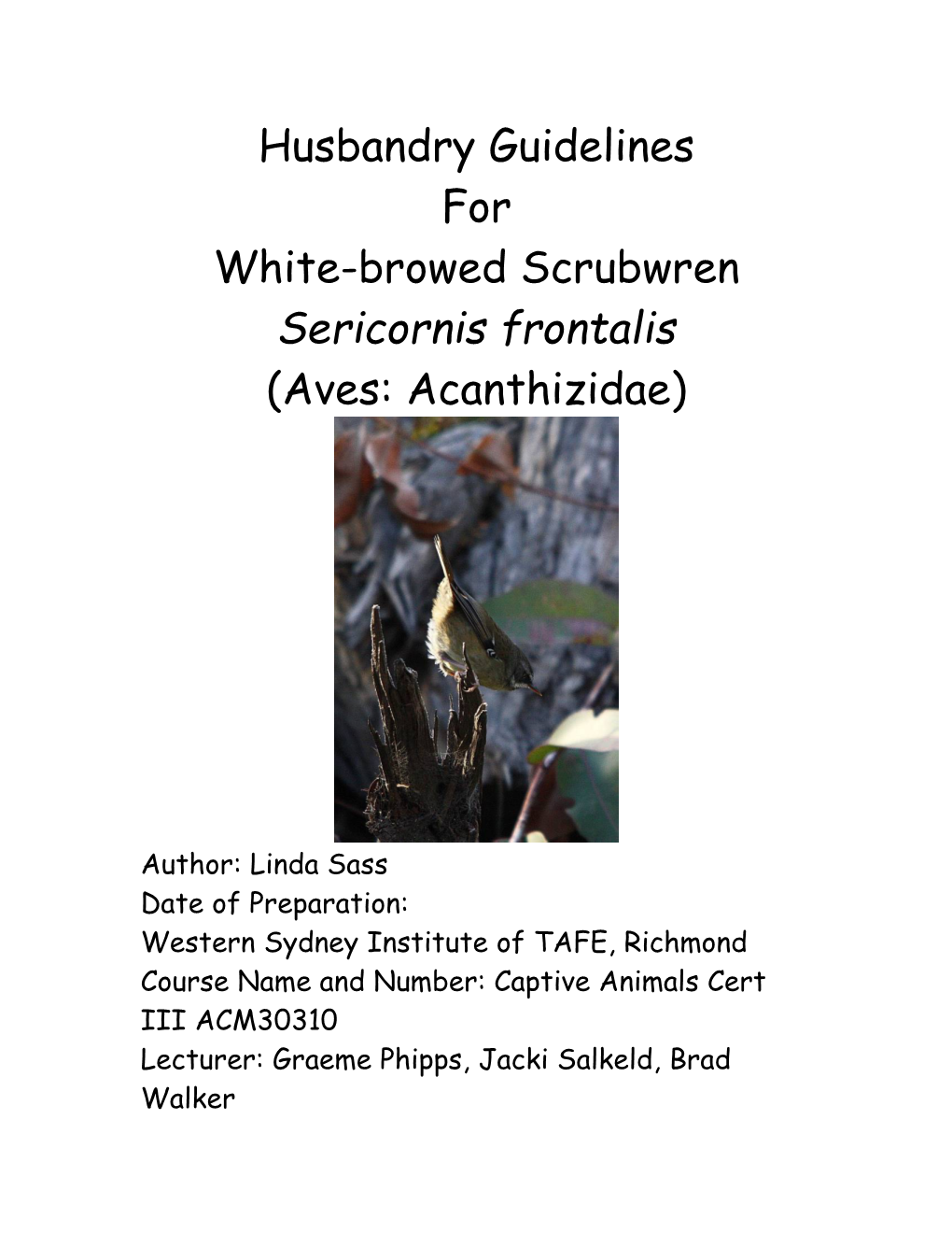 Husbandry Guidelines for White-Browed Scrubwren Sericornis Frontalis (Aves: Acanthizidae)