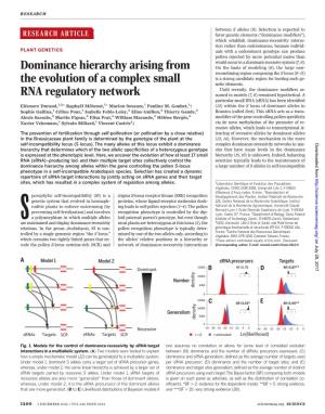 Dominance Hierarchy Arising from the Evolution of a Complex Small RNA Regulatory Network Eléonore Durand, Raphaël Méheust, Marion Soucaze, Pauline M