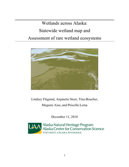 Wetlands Across Alaska: Statewide Wetland Map and Assessment of Rare Wetland Ecosystems
