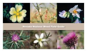 Nevada Noxious Weed Field Guide