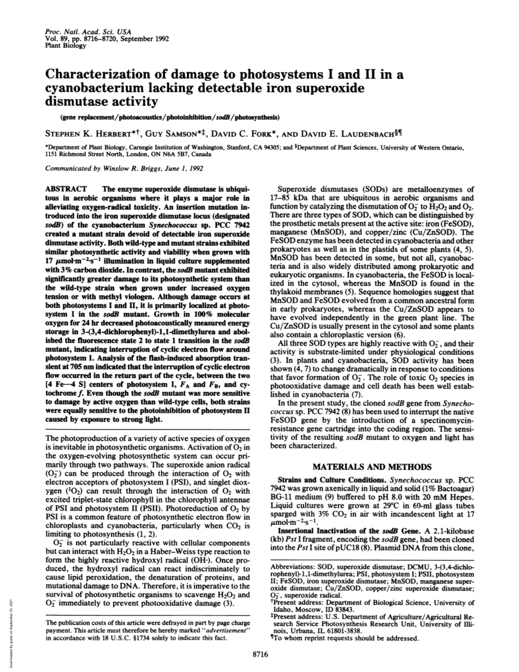 Characterization of Damage to Photosystems I and II in A