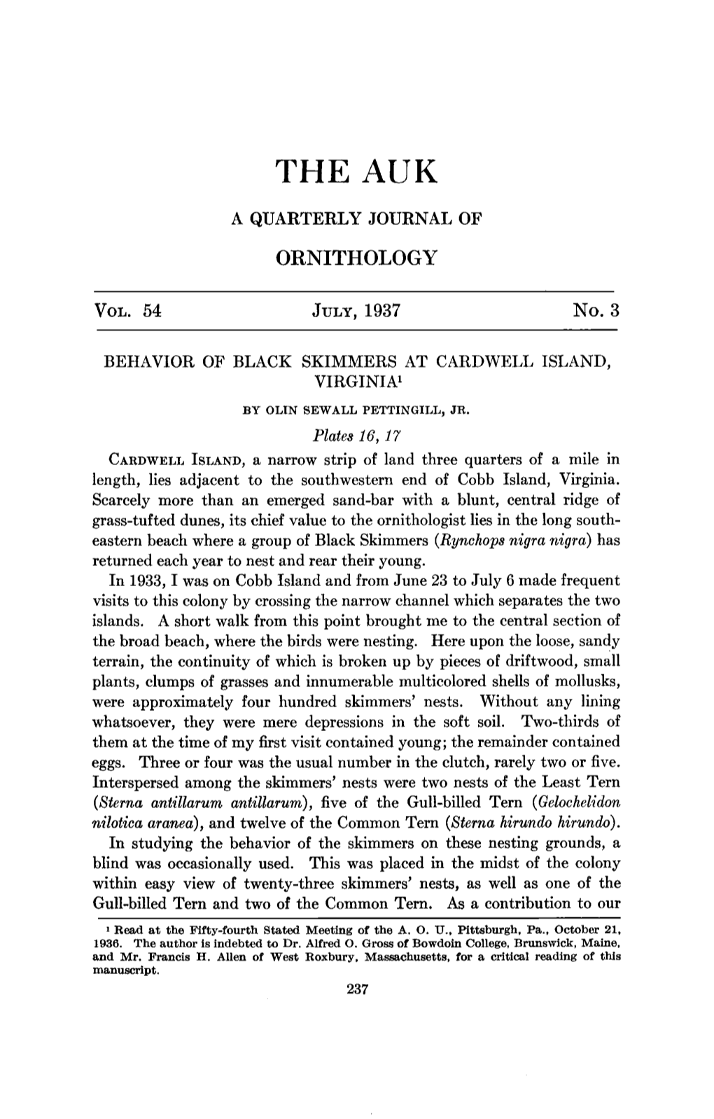 Behavior of Black Skimmers at Cardwell Island, Virginia 1