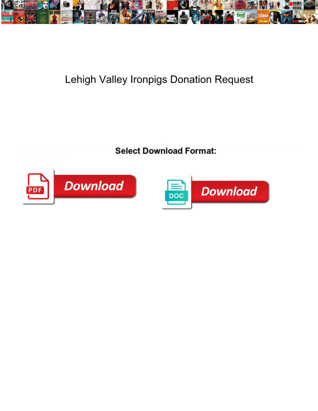 Lehigh Valley Ironpigs Donation Request Fission