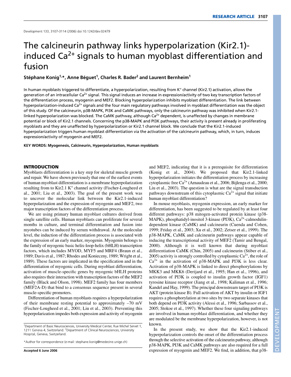 The Calcineurin Pathway Links Hyperpolarization (Kir2.1)- Induced