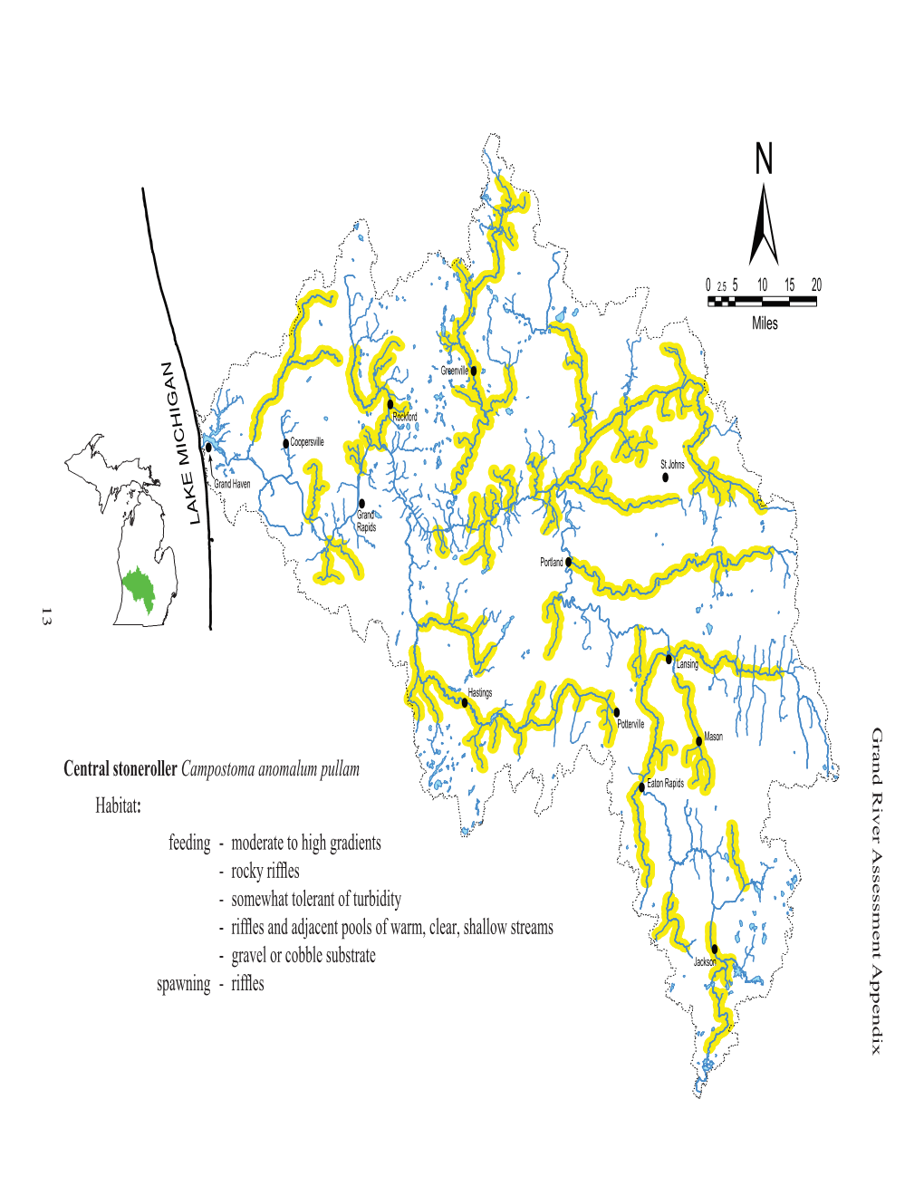 Grand River Assessment Appendix Central Stoneroller Campostoma