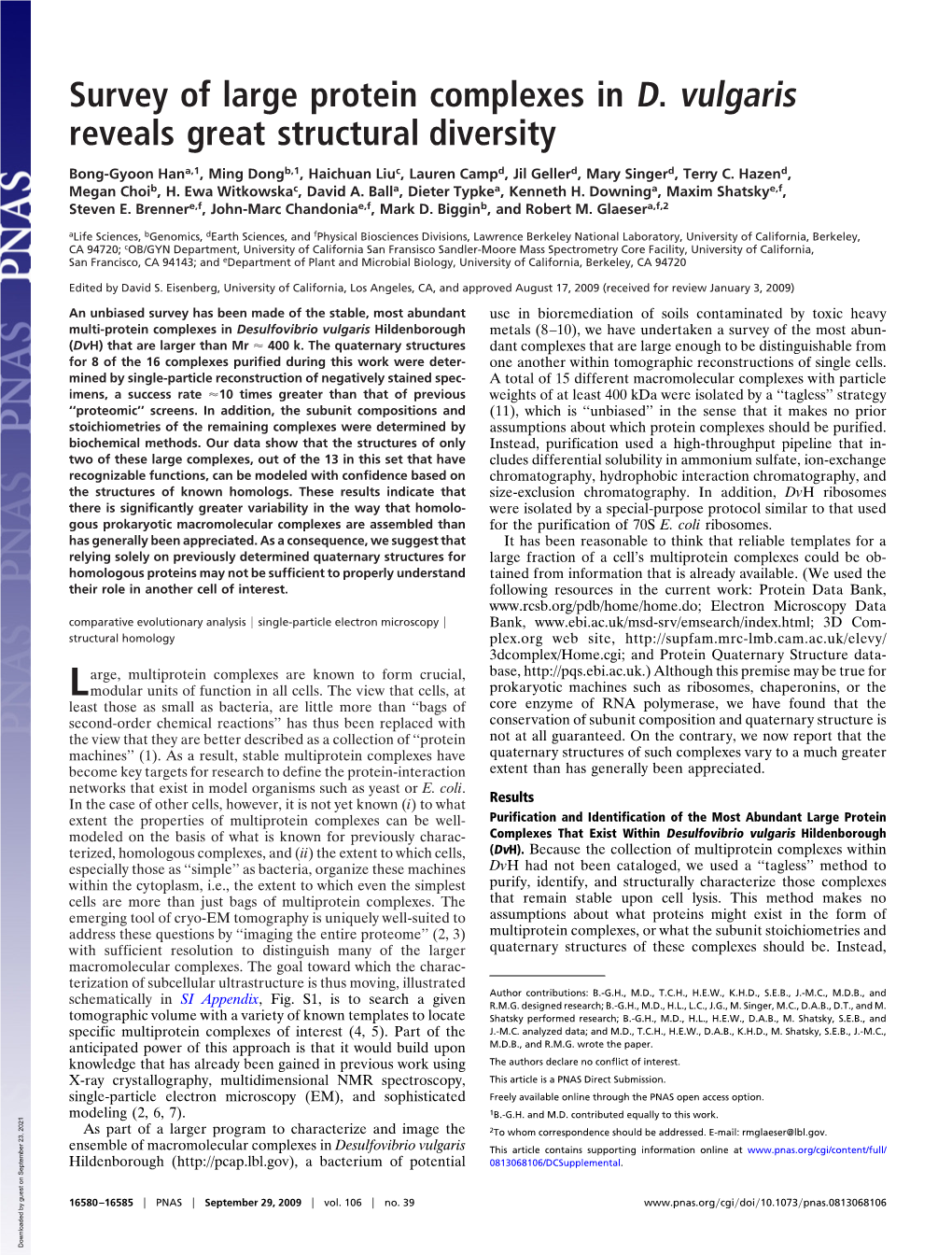 Survey of Large Protein Complexes in D. Vulgaris Reveals Great Structural Diversity