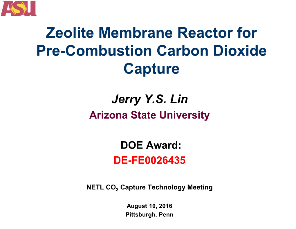 Of the Zeolite Membrane Reactor