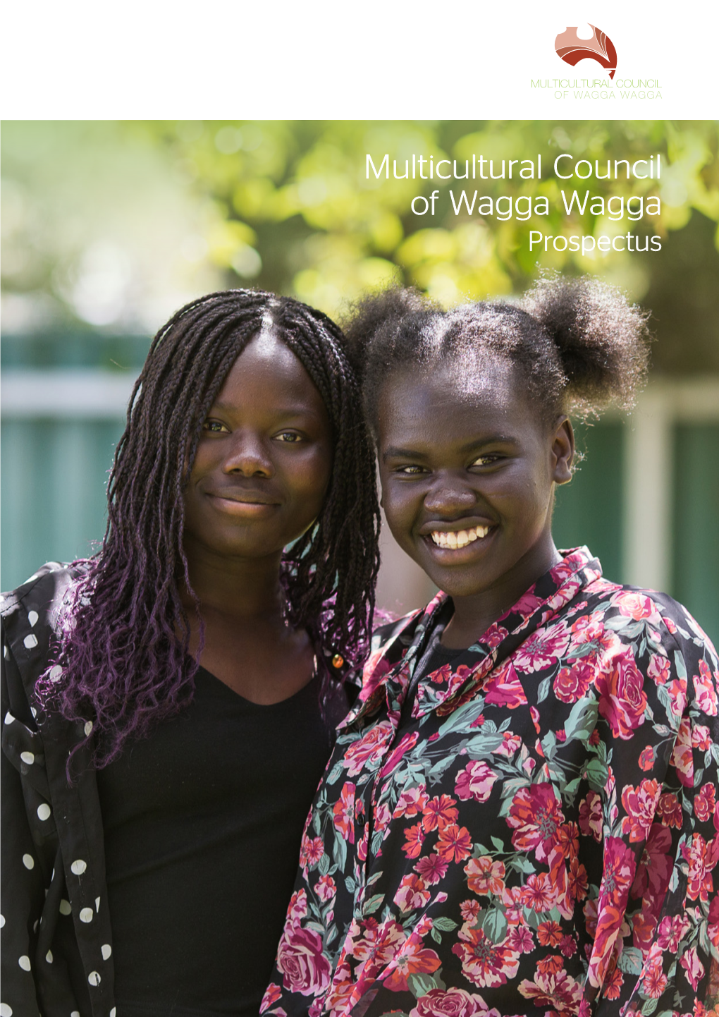 Multicultural Council Prospectus