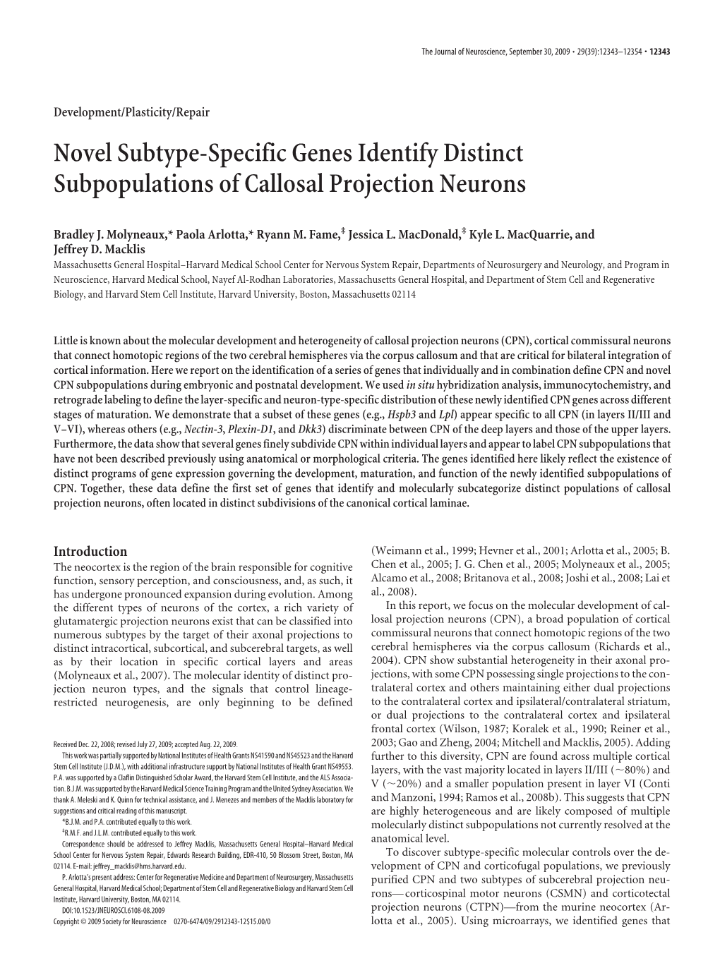 Novel Subtype-Specific Genes Identify Distinct Subpopulations of Callosal Projection Neurons