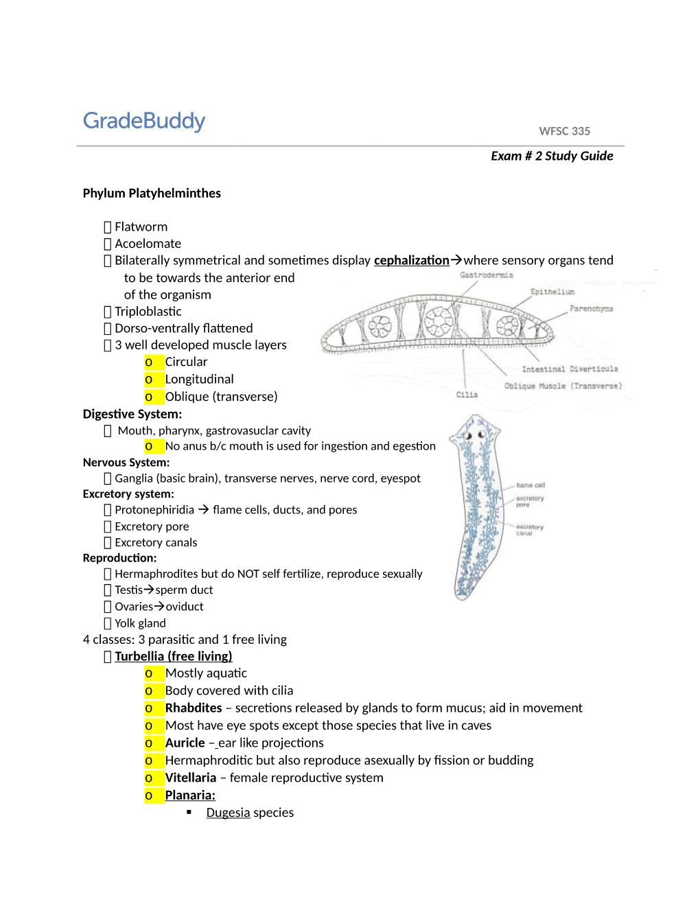 Exam # 2 Study Guide Phylum Platyhelminthes Flatworm