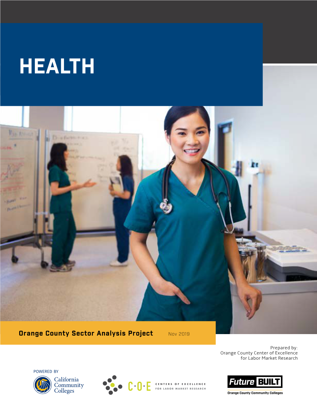 Orange County Sector Analysis Project: Health Sector Brief