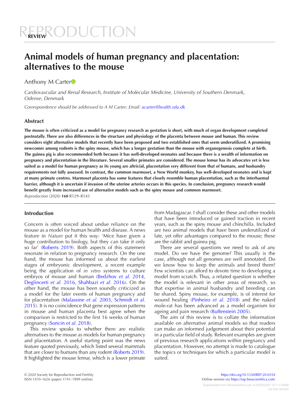 Animal Models of Human Pregnancy and Placentation: Alternatives to the Mouse