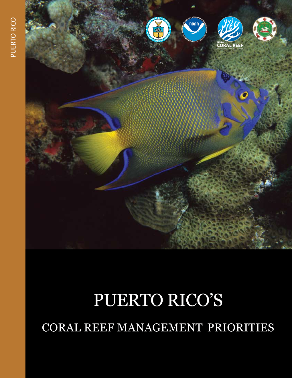 Puerto Rico's Coral Reef Management Priorities