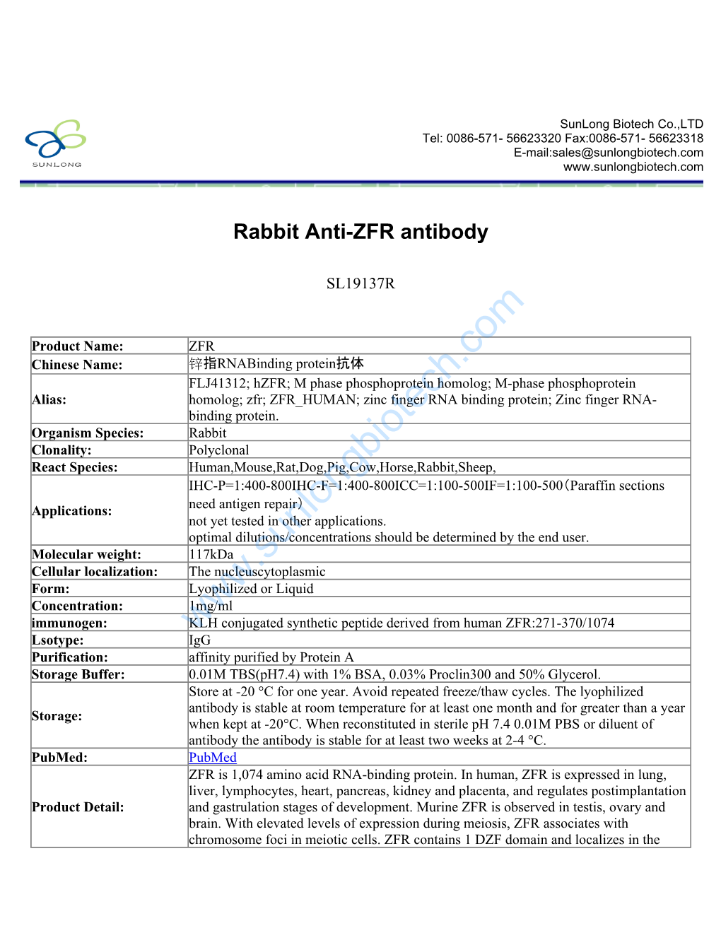 Rabbit Anti-ZFR Antibody-SL19137R