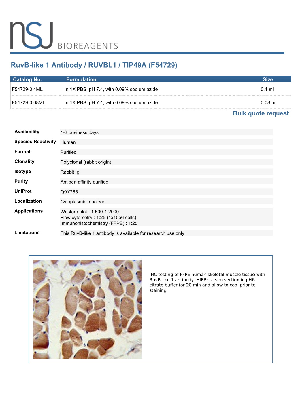 Ruvb-Like 1 Antibody / RUVBL1 / TIP49A (F54729)