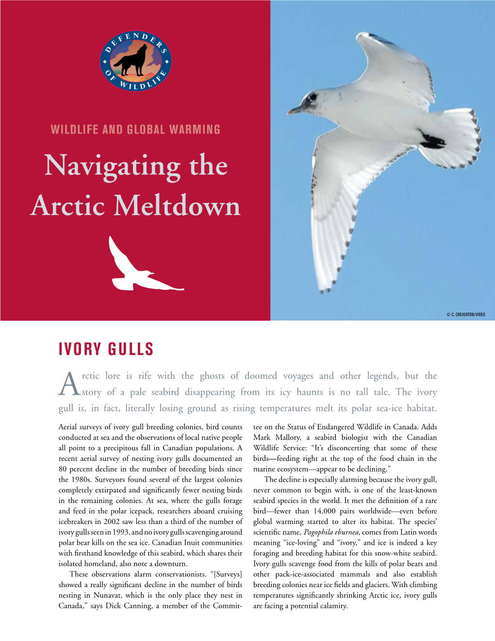 Navigating the Arctic Meltdown