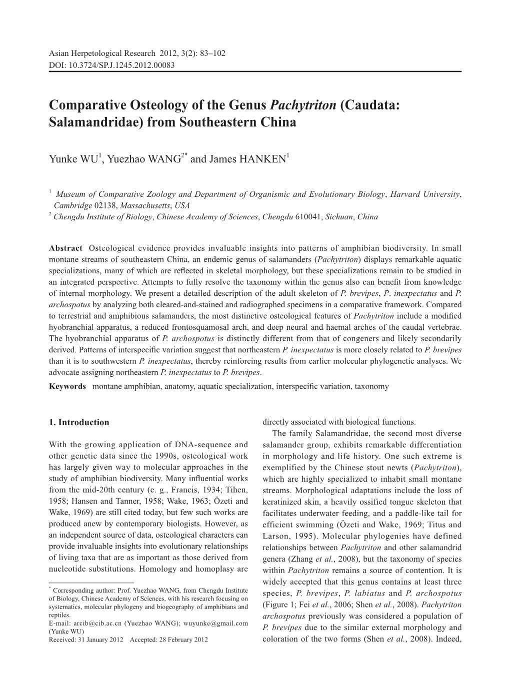 Comparative Osteology of the Genus Pachytriton (Caudata: Salamandridae) from Southeastern China