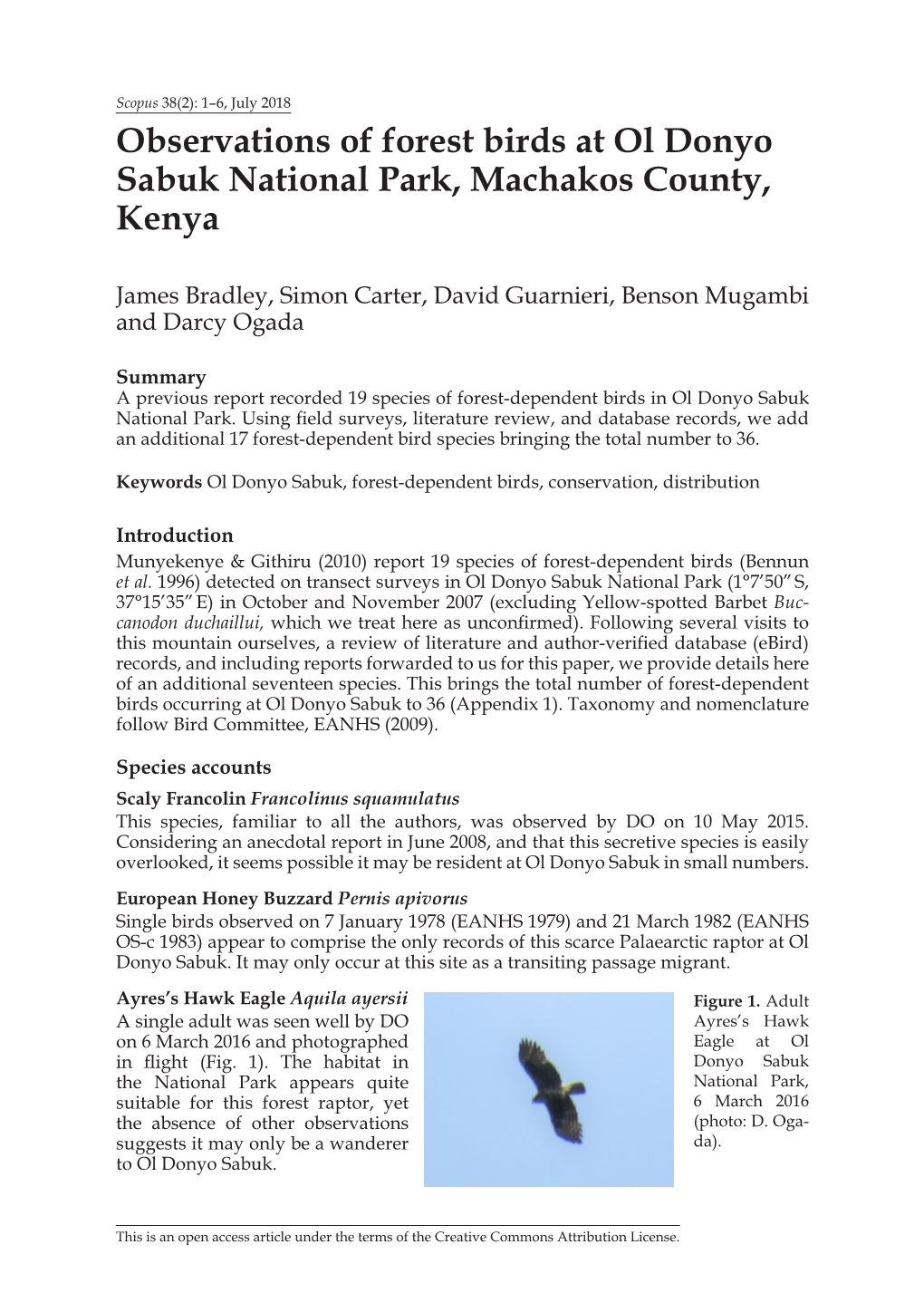 Observations of Forest Birds at Ol Donyo Sabuk National Park, Machakos County, Kenya