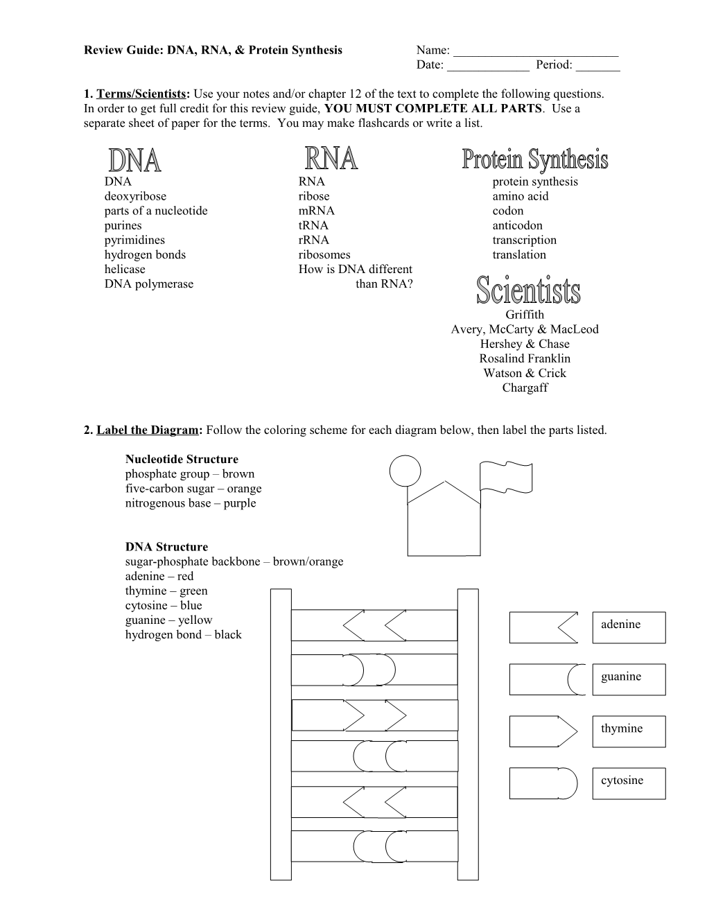 Review Guide: DNA, RNA, & Protein Synthesis