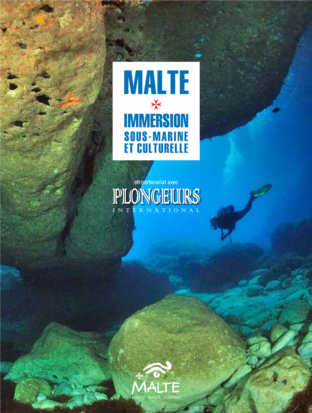 Immersion Sous-Marine Et Culturelle