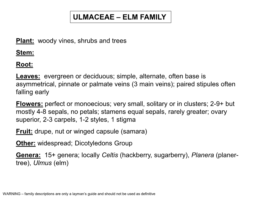 Ulmaceae – Elm Family