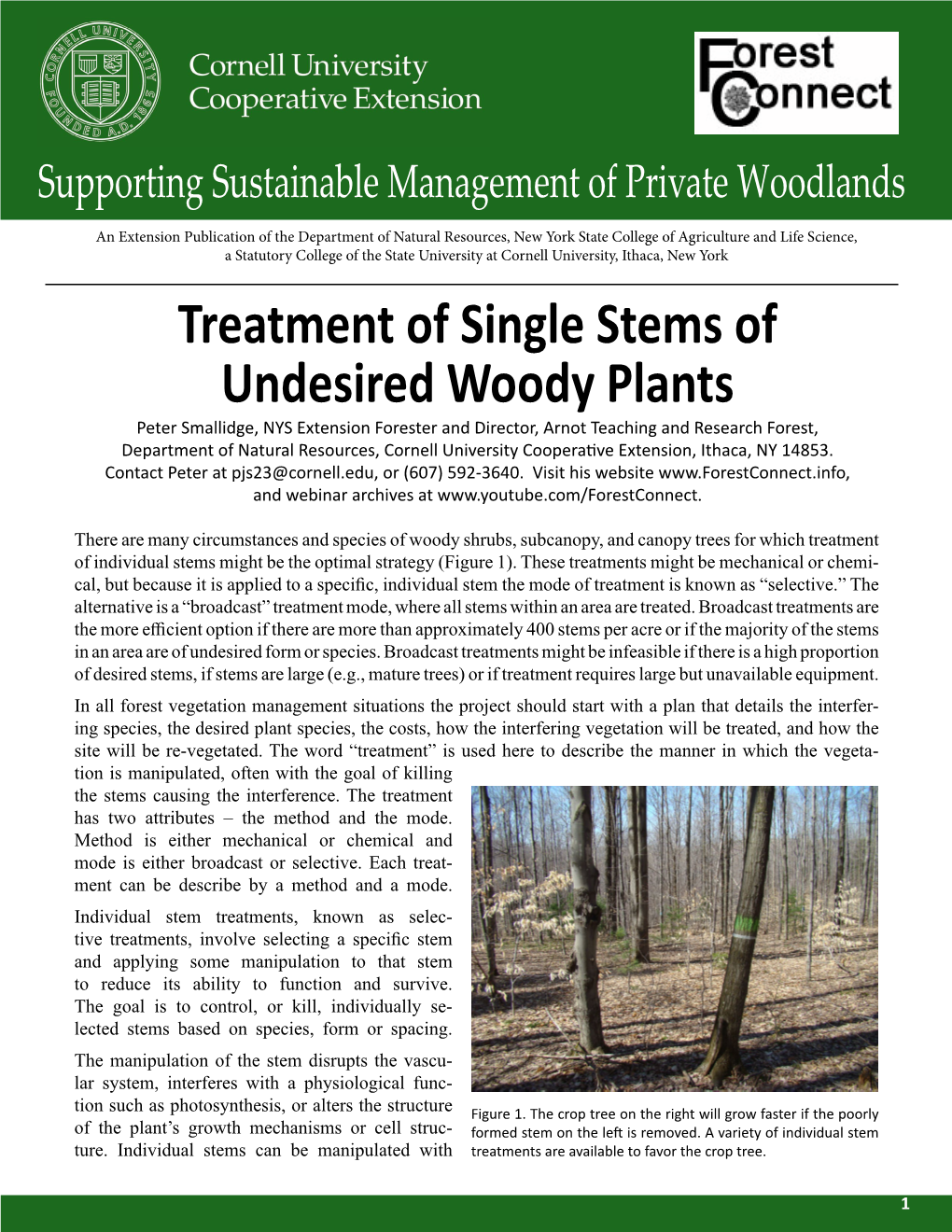 Treatment of Single Stems of Undesired Woody Plants