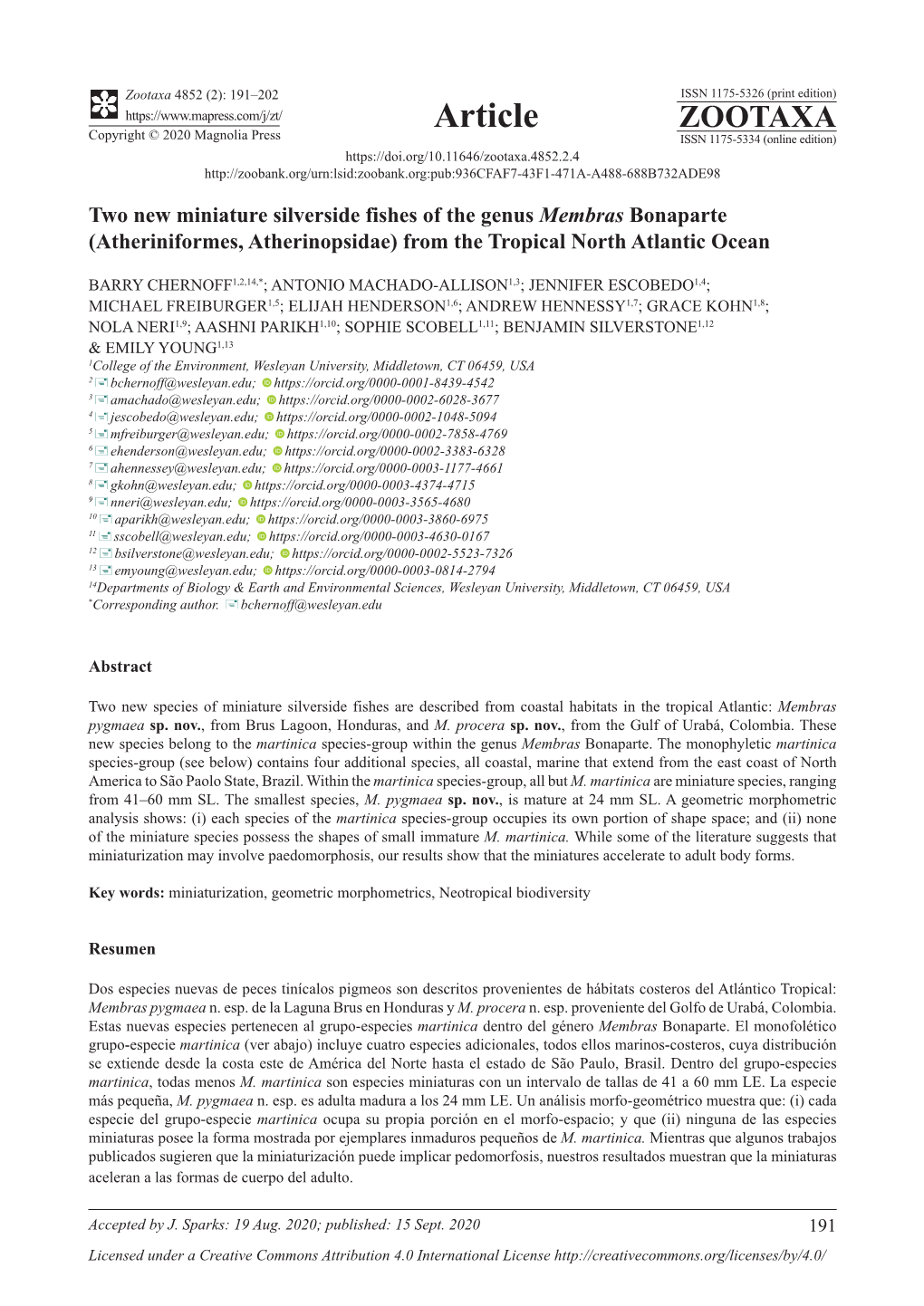 Two New Miniature Silverside Fishes of the Genus Membras Bonaparte (Atheriniformes, Atherinopsidae) from the Tropical North Atlantic Ocean