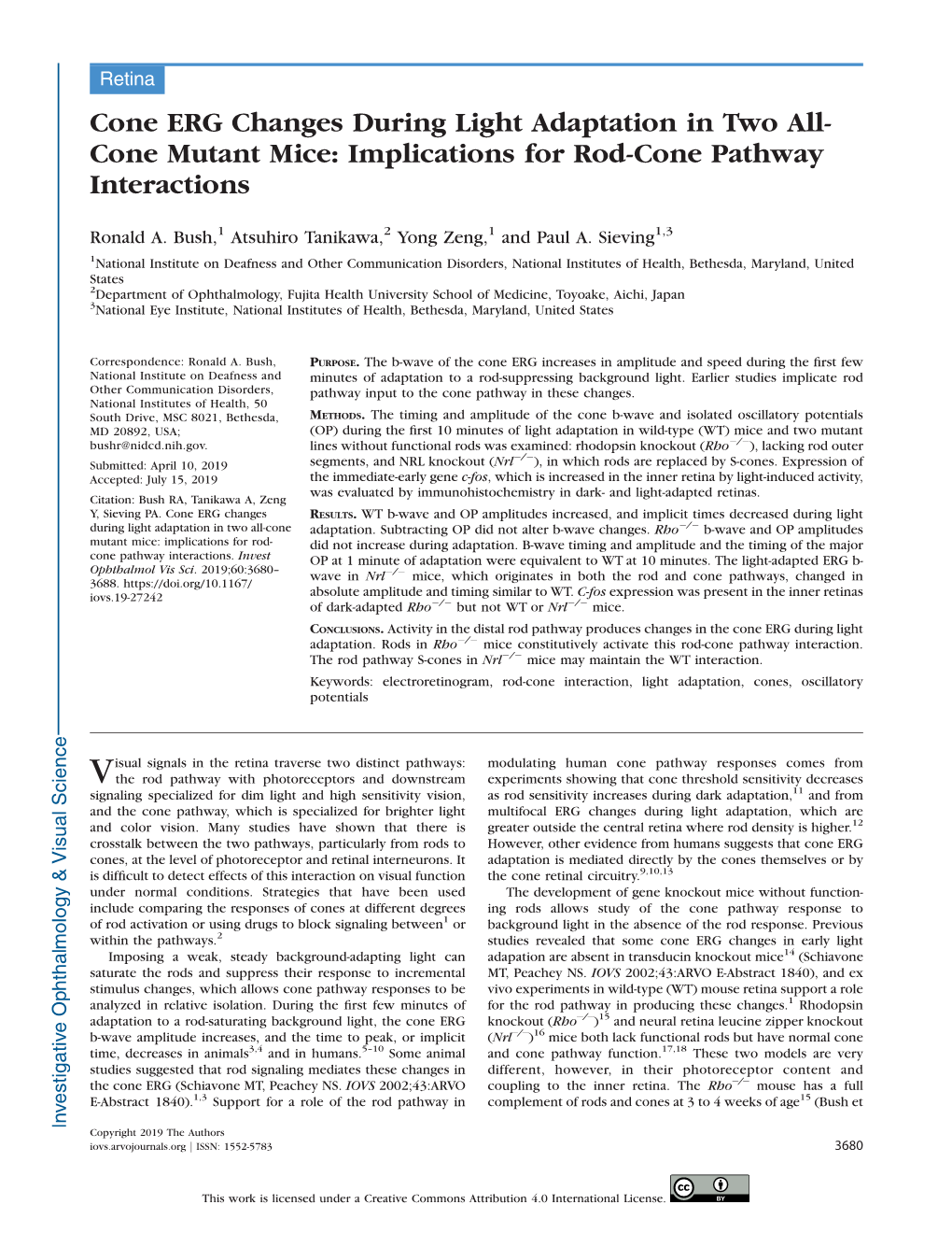 Cone ERG Changes During Light Adaptation in Two All- Cone Mutant Mice: Implications for Rod-Cone Pathway Interactions