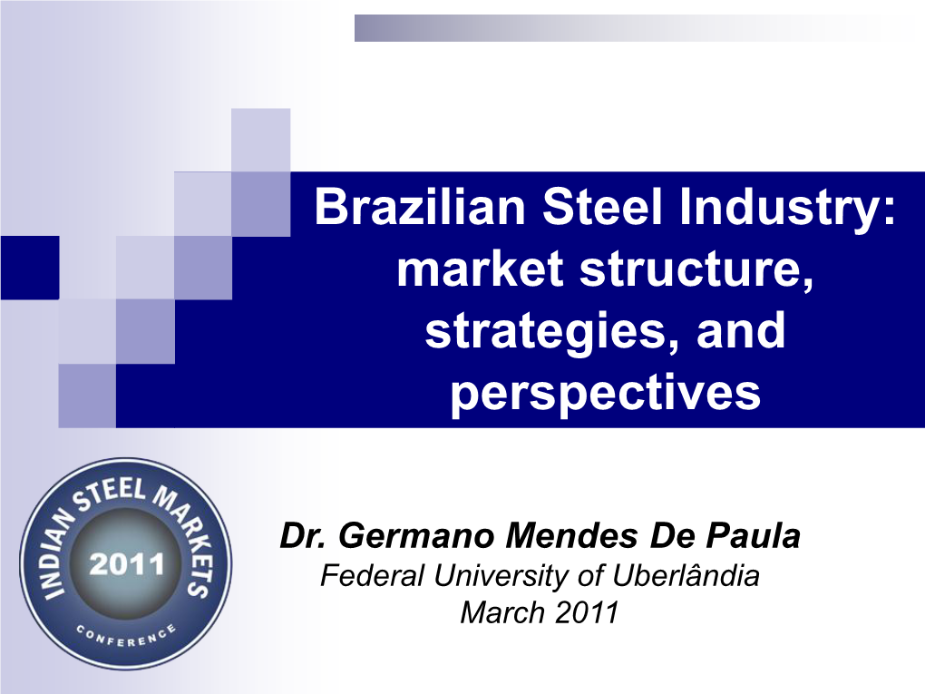 Brazilian Steel Industry: Market Structure, Strategies, and Perspectives