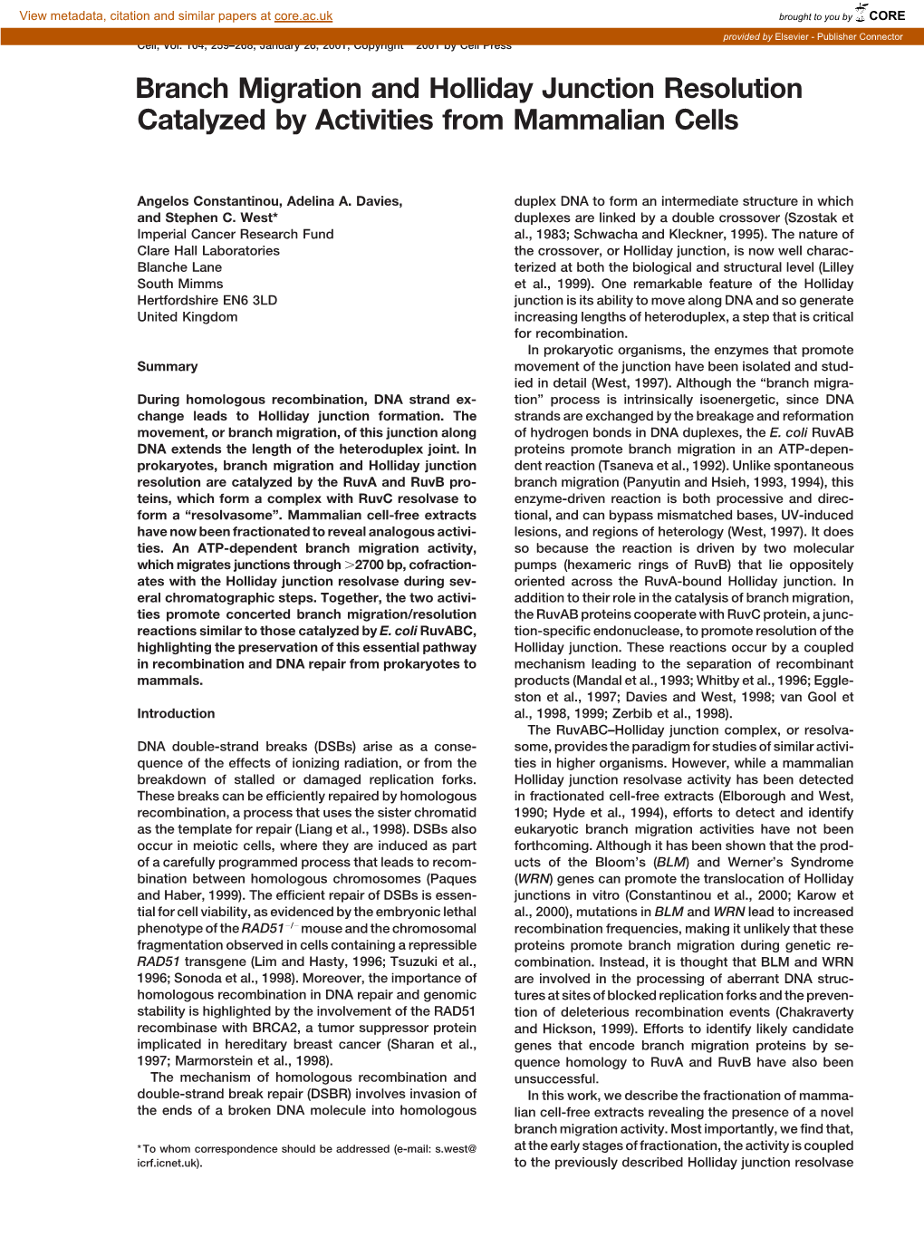 Branch Migration and Holliday Junction Resolution Catalyzed by Activities from Mammalian Cells