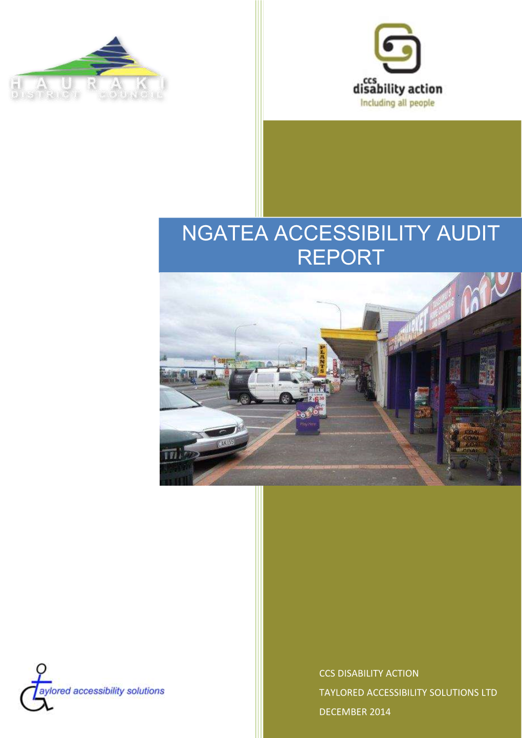 Ngatea Accessibility Audit Report