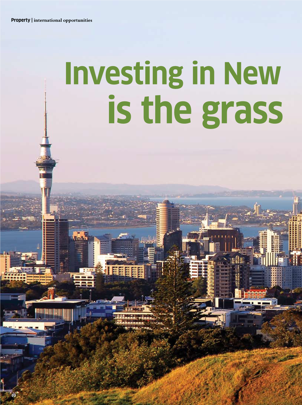 Investing in New Zealand — Is the Grass Greener?