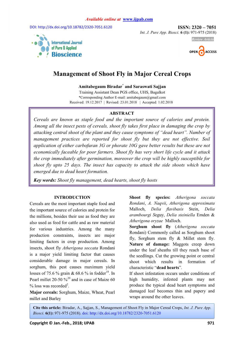 Management of Shoot Fly in Major Cereal Crops