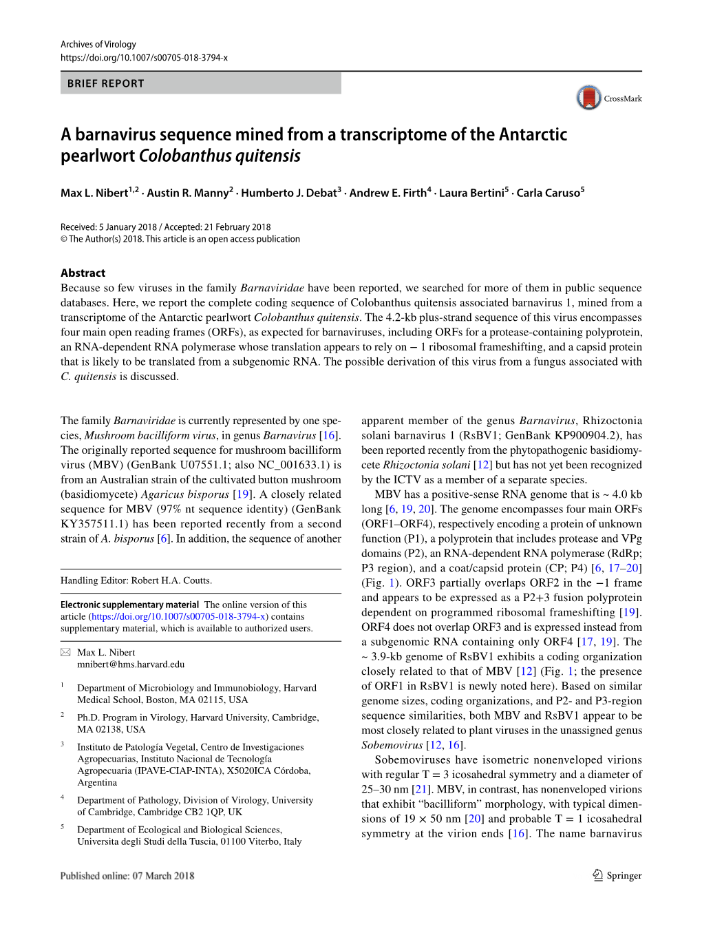 A Barnavirus Sequence Mined from a Transcriptome of the Antarctic Pearlwort Colobanthus Quitensis