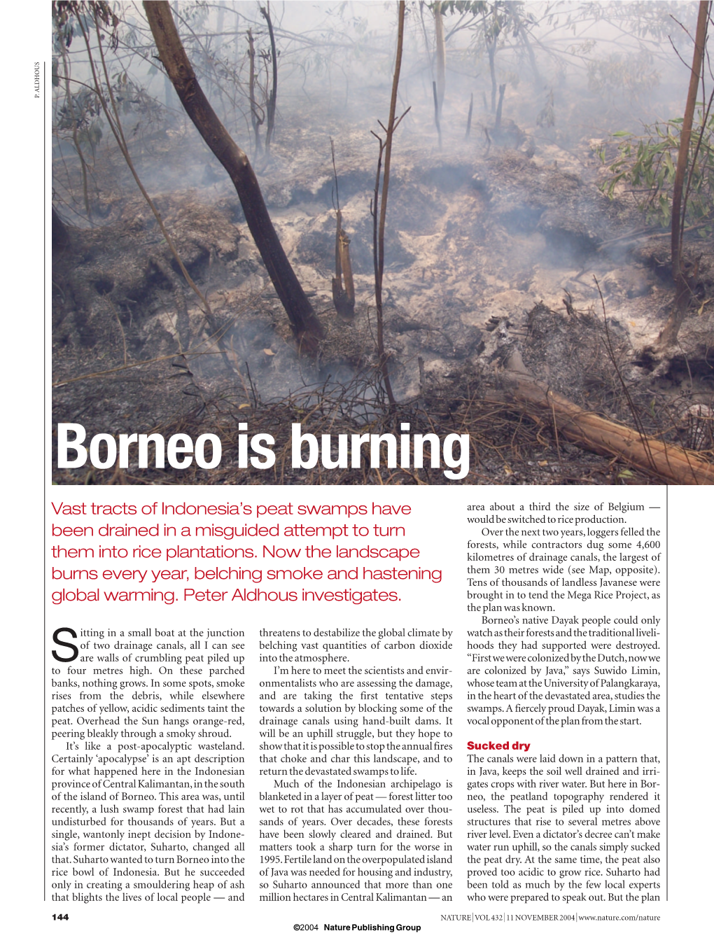 Borneo Is Burning