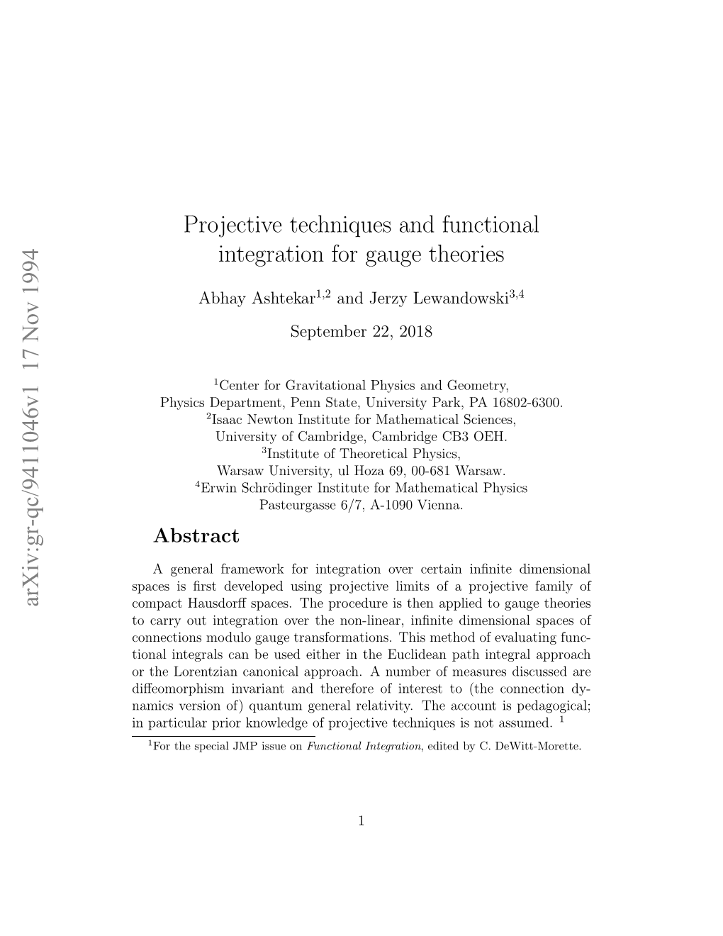 Projective Techniques and Functional Integration for Gauge Theories