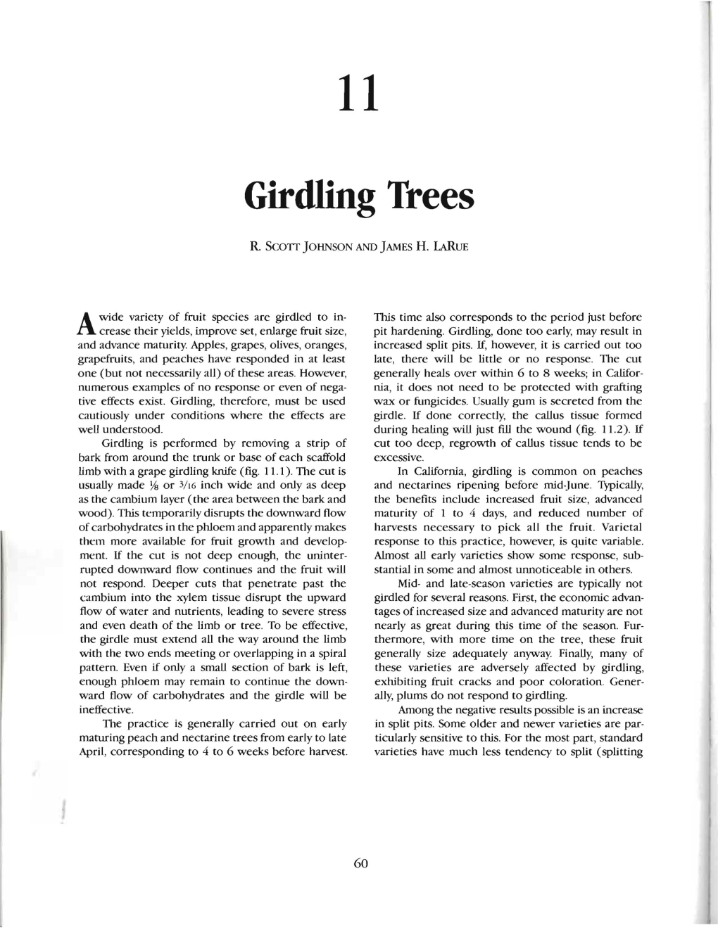 Girdling Trees