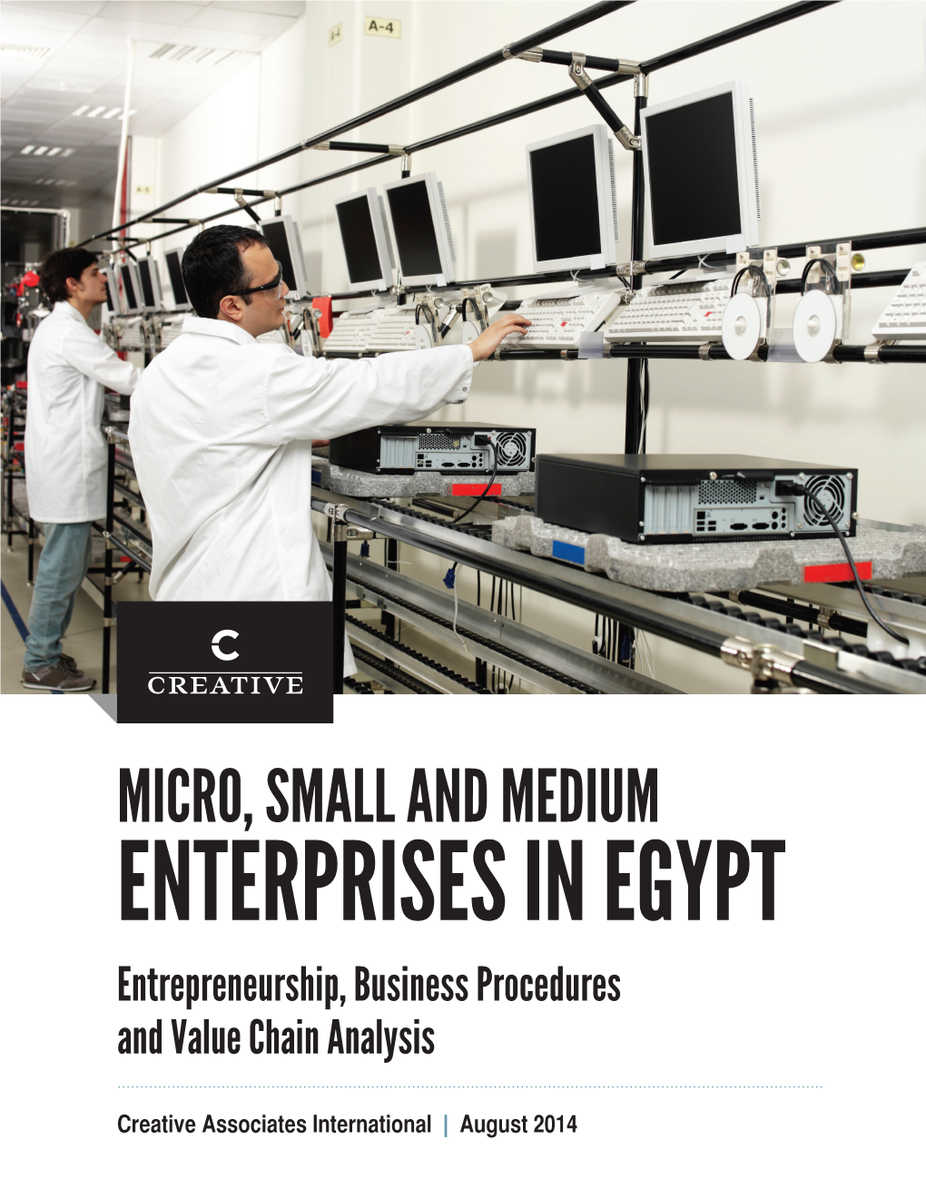 MICRO, SMALL and MEDIUM ENTERPRISES in EGYPT Entrepreneurship, Business Procedures and Value Chain Analysis