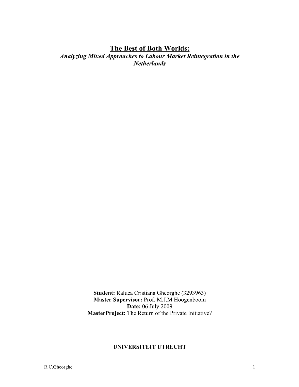 The Best of Both Worlds: Analyzing Mixed Approaches to Labour Market Reintegration in the Netherlands