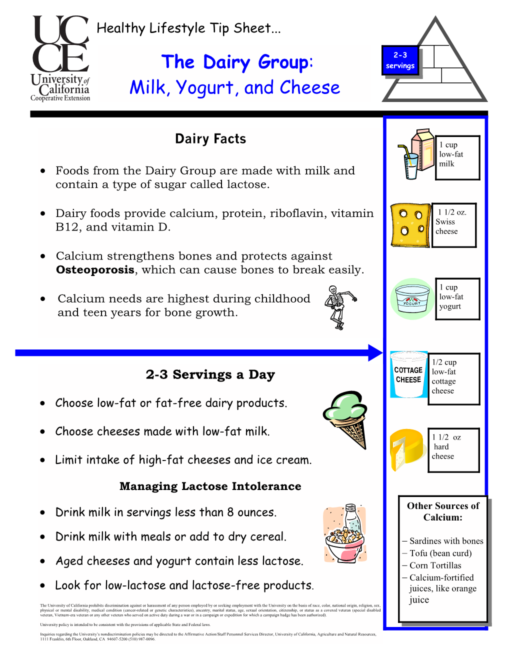 The Dairy Group: Milk, Yogurt, and Cheese