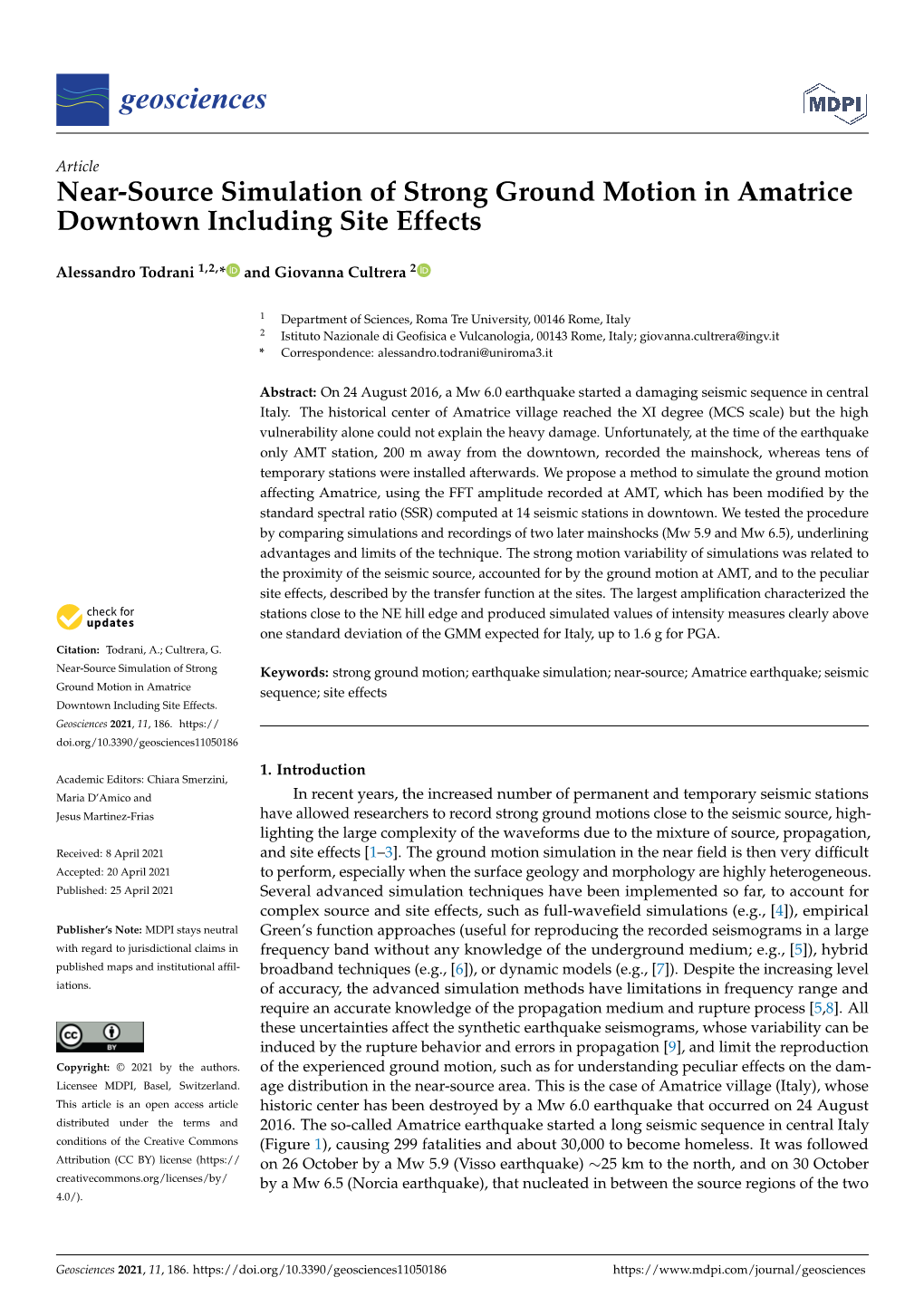 Near-Source Simulation of Strong Ground Motion in Amatrice Downtown Including Site Effects