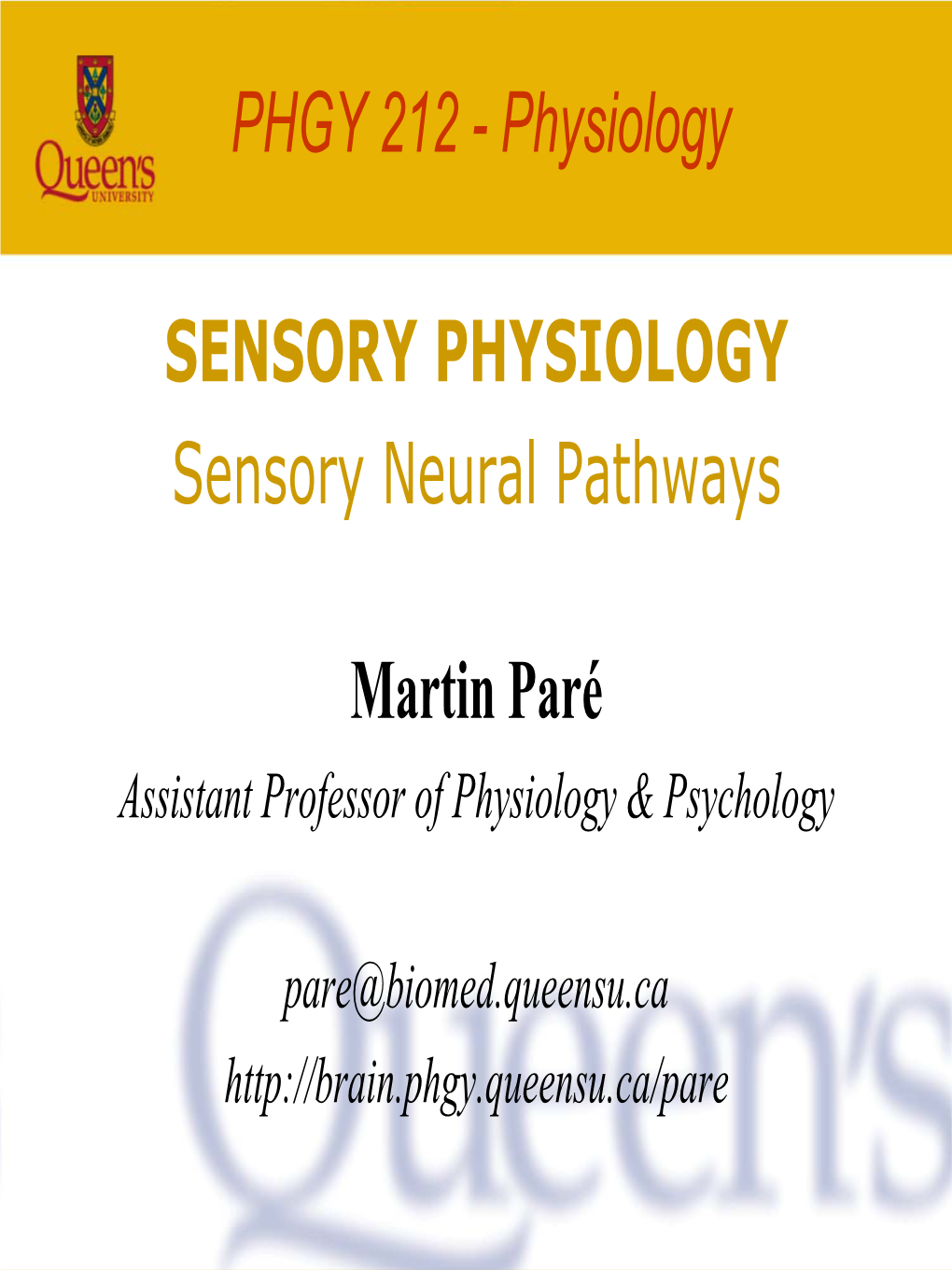 2 Sensory Pathways Slides.Pdf