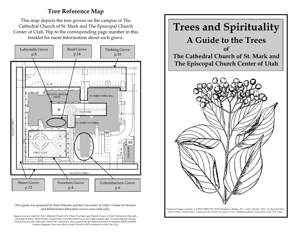 Trees and Spirituality Center of Utah