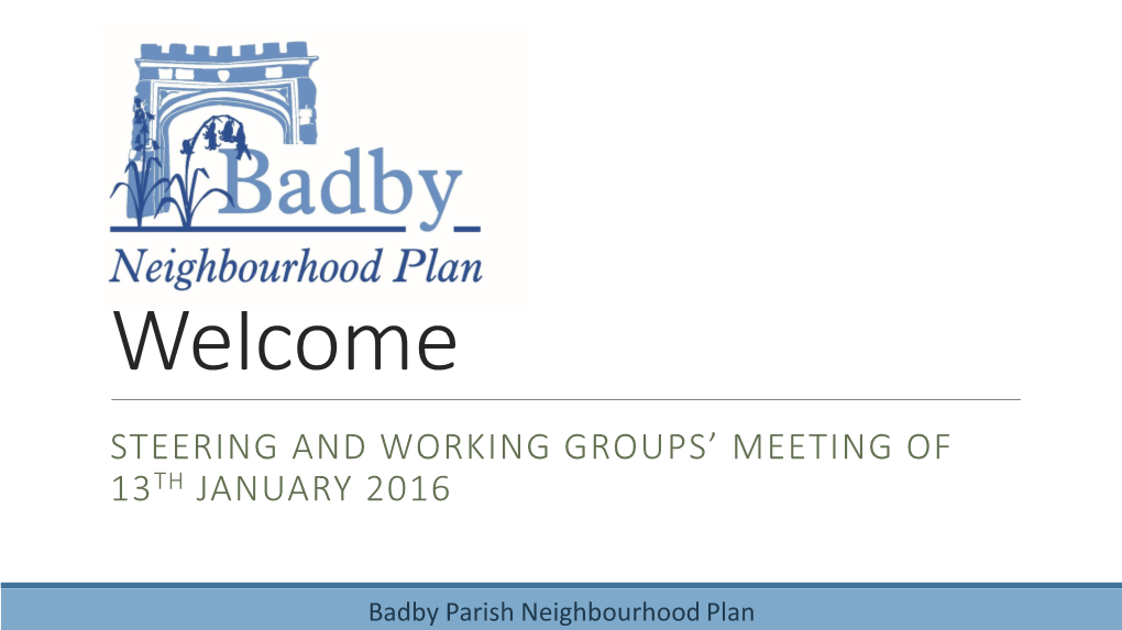 Steering and Working Groups’ Meeting of 13Th January 2016
